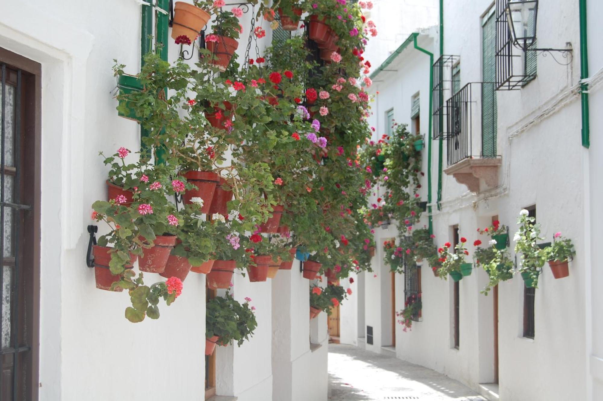 Casa Banos De La Villa Priego de Córdoba Екстериор снимка